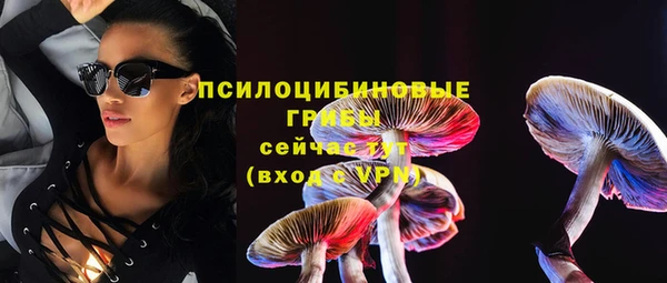 кокс Баксан